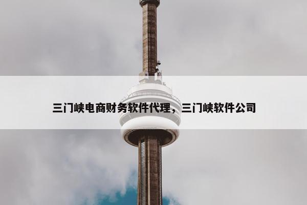 三门峡电商财务软件代理，三门峡软件公司