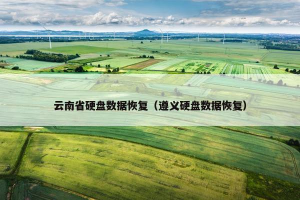 云南省硬盘数据恢复（遵义硬盘数据恢复）