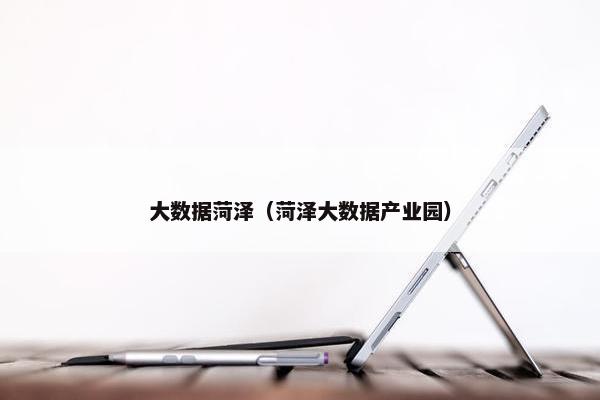 大数据菏泽（菏泽大数据产业园）