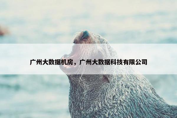 广州大数据机房，广州大数据科技有限公司
