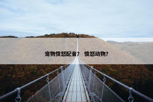 宠物愤怒配音？ 愤怒动物？