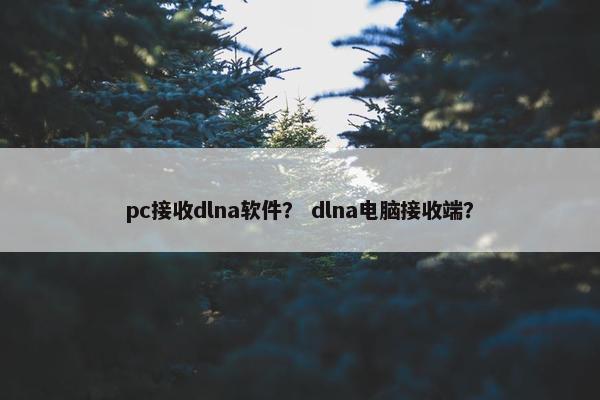 pc接收dlna软件？ dlna电脑接收端？