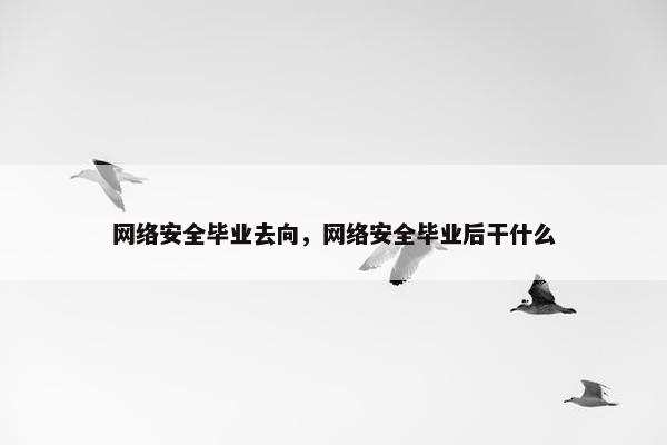 网络安全毕业去向，网络安全毕业后干什么