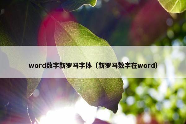 word数字新罗马字体（新罗马数字在word）