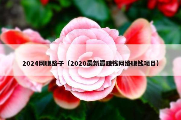 2024网赚路子（2020最新最赚钱网络赚钱项目）