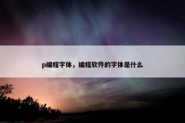 p编程字体，编程软件的字体是什么