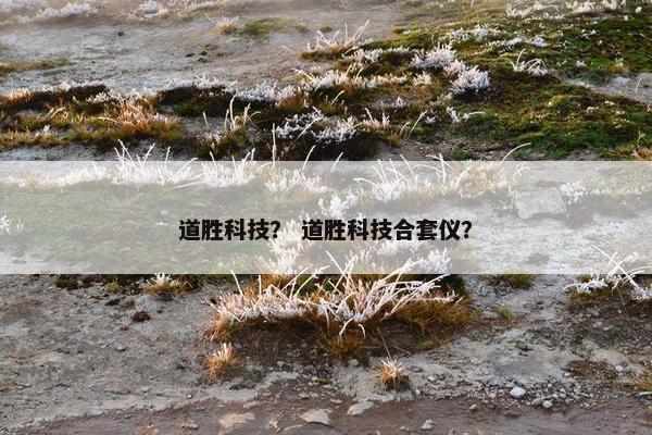 道胜科技？ 道胜科技合套仪？