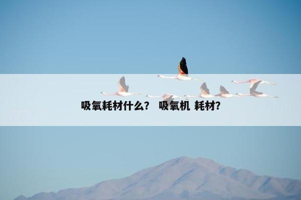 吸氧耗材什么？ 吸氧机 耗材？