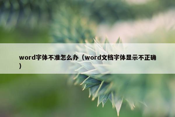 word字体不准怎么办（word文档字体显示不正确）