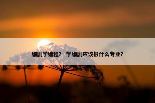 编剧学编程？ 学编剧应该报什么专业？
