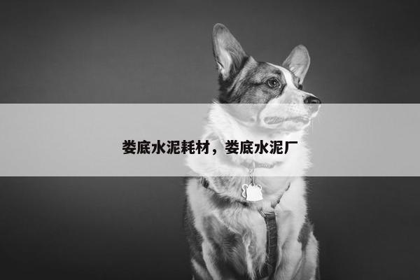 娄底水泥耗材，娄底水泥厂