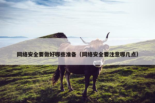 网络安全要做好哪些准备（网络安全要注意哪几点）