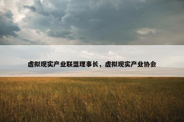 虚拟现实产业联盟理事长，虚拟现实产业协会