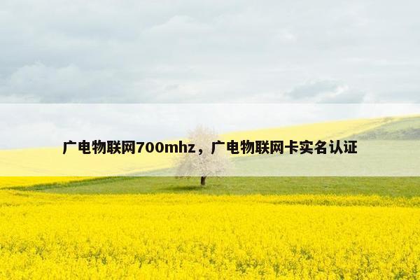 广电物联网700mhz，广电物联网卡实名认证