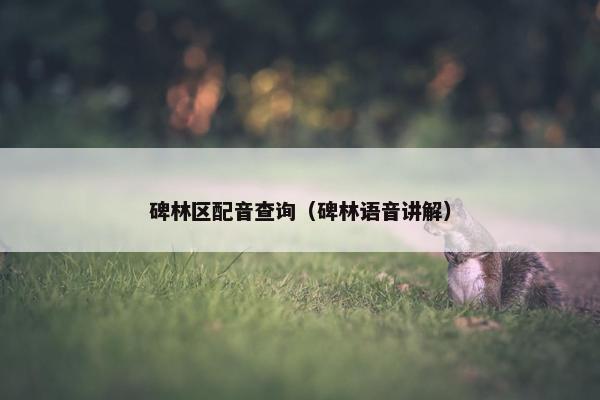 碑林区配音查询（碑林语音讲解）