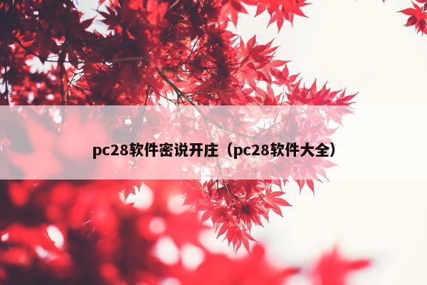 pc28软件密说开庄(pc28软件大全) pc28软件密说开庄(pc28软件大全)