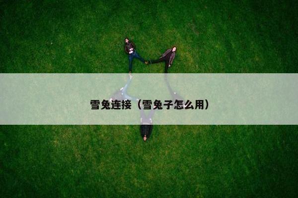 雪兔连接（雪兔子怎么用）