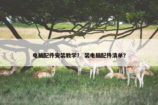 电脑配件安装教学？ 装电脑配件清单？