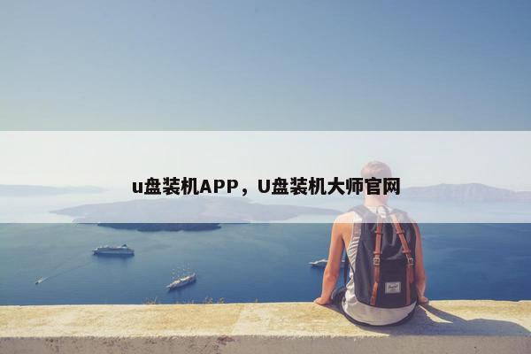 u盘装机APP，U盘装机大师官网