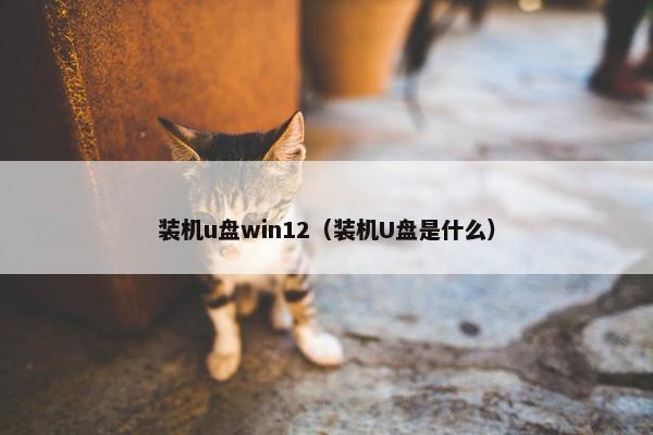装机u盘win12（装机U盘是什么）