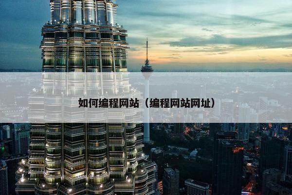 如何编程网站（编程网站网址）