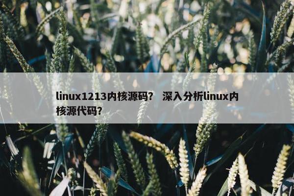 linux1213内核源码？ 深入分析linux内核源代码？