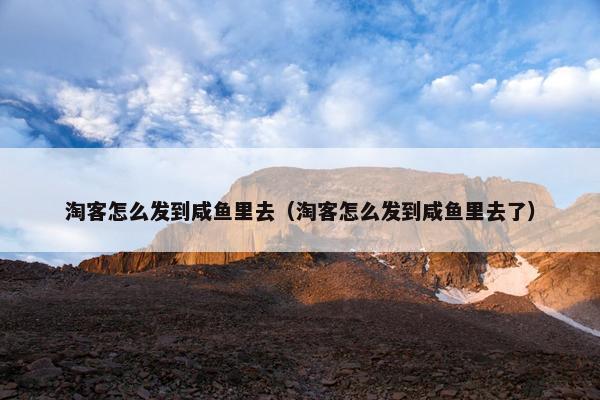 淘客怎么发到咸鱼里去（淘客怎么发到咸鱼里去了）