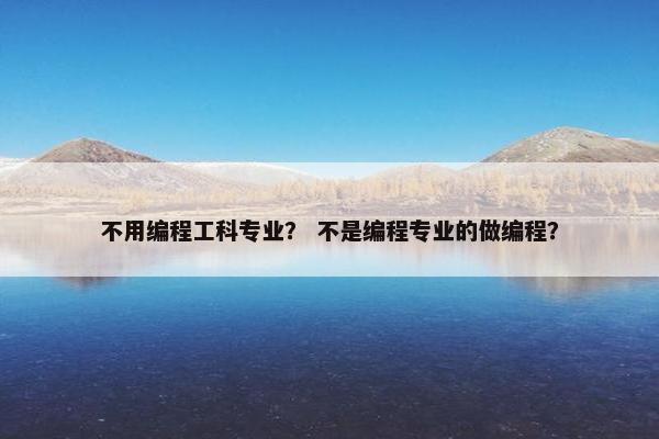 不用编程工科专业？ 不是编程专业的做编程？