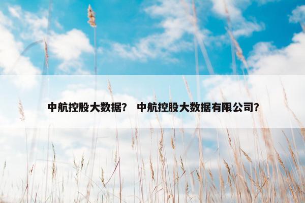 中航控股大数据？ 中航控股大数据有限公司？