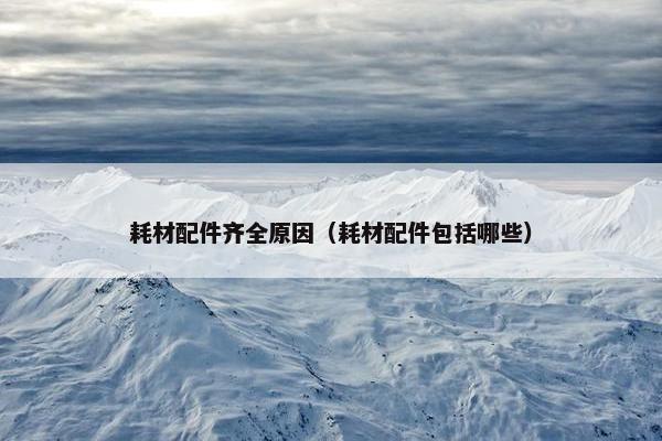 耗材配件齐全原因（耗材配件包括哪些）