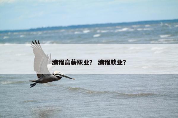编程高薪职业？ 编程就业？