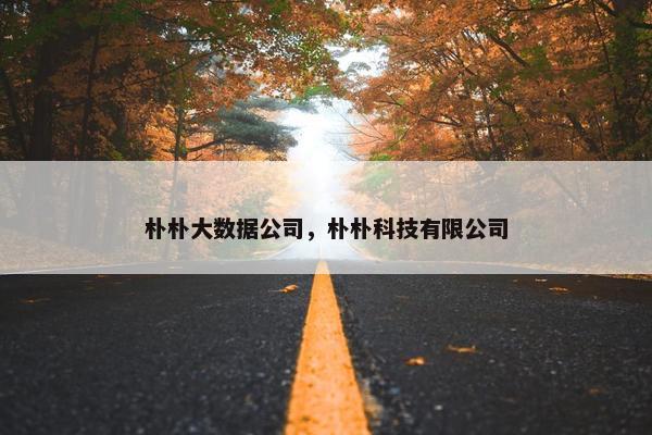 朴朴大数据公司，朴朴科技有限公司