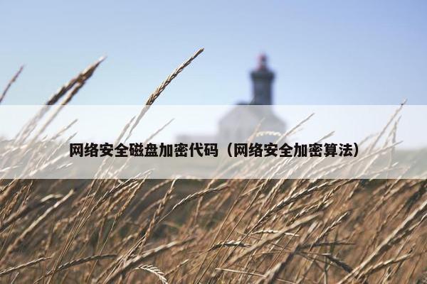 网络安全磁盘加密代码（网络安全加密算法）