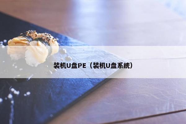 装机U盘PE（装机U盘系统）