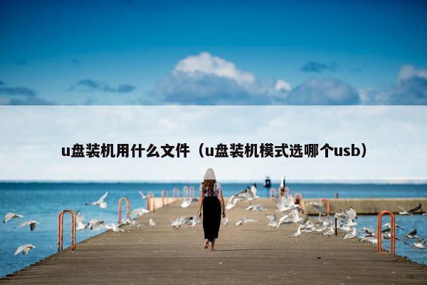 u盘装机用什么文件（u盘装机模式选哪个usb）