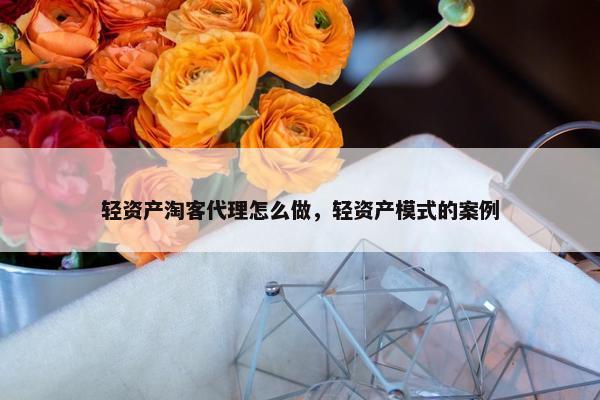 轻资产淘客代理怎么做，轻资产模式的案例