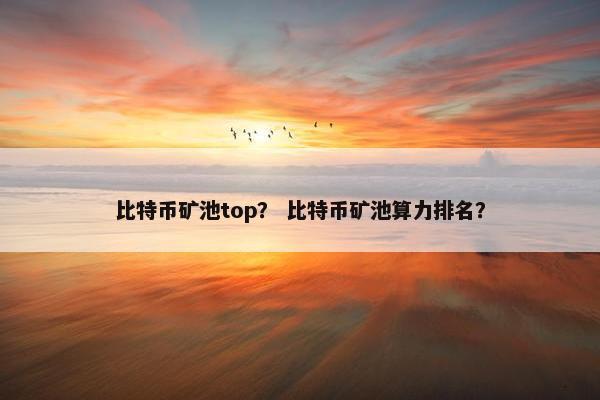 比特币矿池top？ 比特币矿池算力排名？