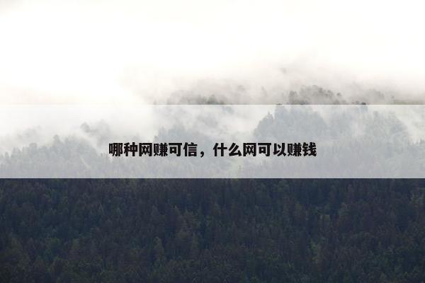 哪种网赚可信，什么网可以赚钱
