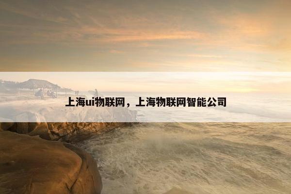 上海ui物联网，上海物联网智能公司