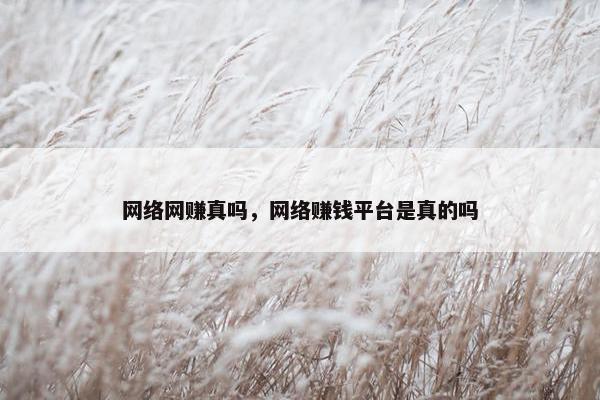 网络网赚真吗，网络赚钱平台是真的吗