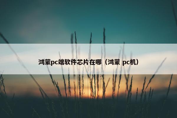 鸿蒙pc端软件芯片在哪（鸿蒙 pc机）