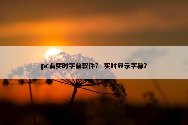 pc看实时字幕软件？ 实时显示字幕？