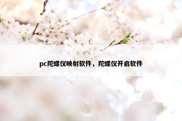 pc陀螺仪映射软件，陀螺仪开启软件