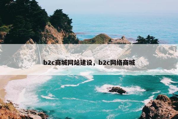 b2c商城网站建设，b2c网络商城