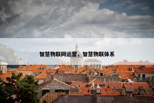 智慧物联网运营，智慧物联体系