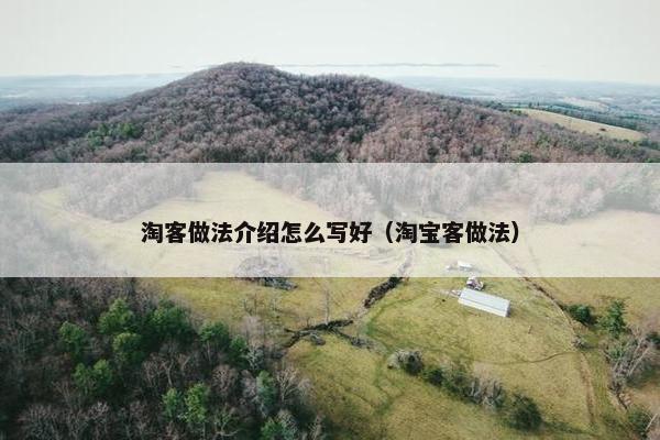 淘客做法介绍怎么写好（淘宝客做法）