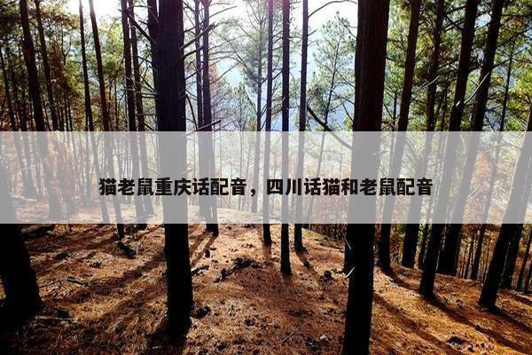 猫老鼠重庆话配音，四川话猫和老鼠配音