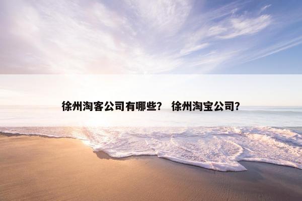 徐州淘客公司有哪些？ 徐州淘宝公司？