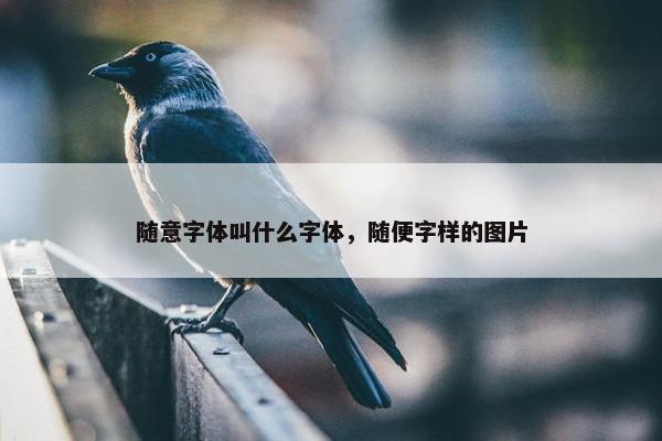 随意字体叫什么字体，随便字样的图片