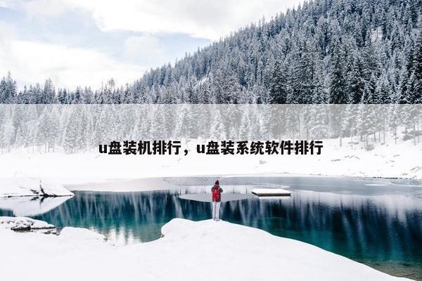 u盘装机排行，u盘装系统软件排行
